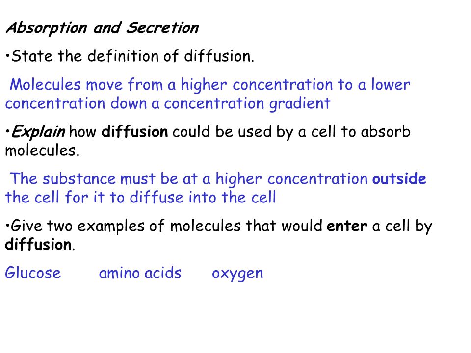 meaning of absorption