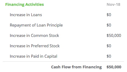 cash from financing activities